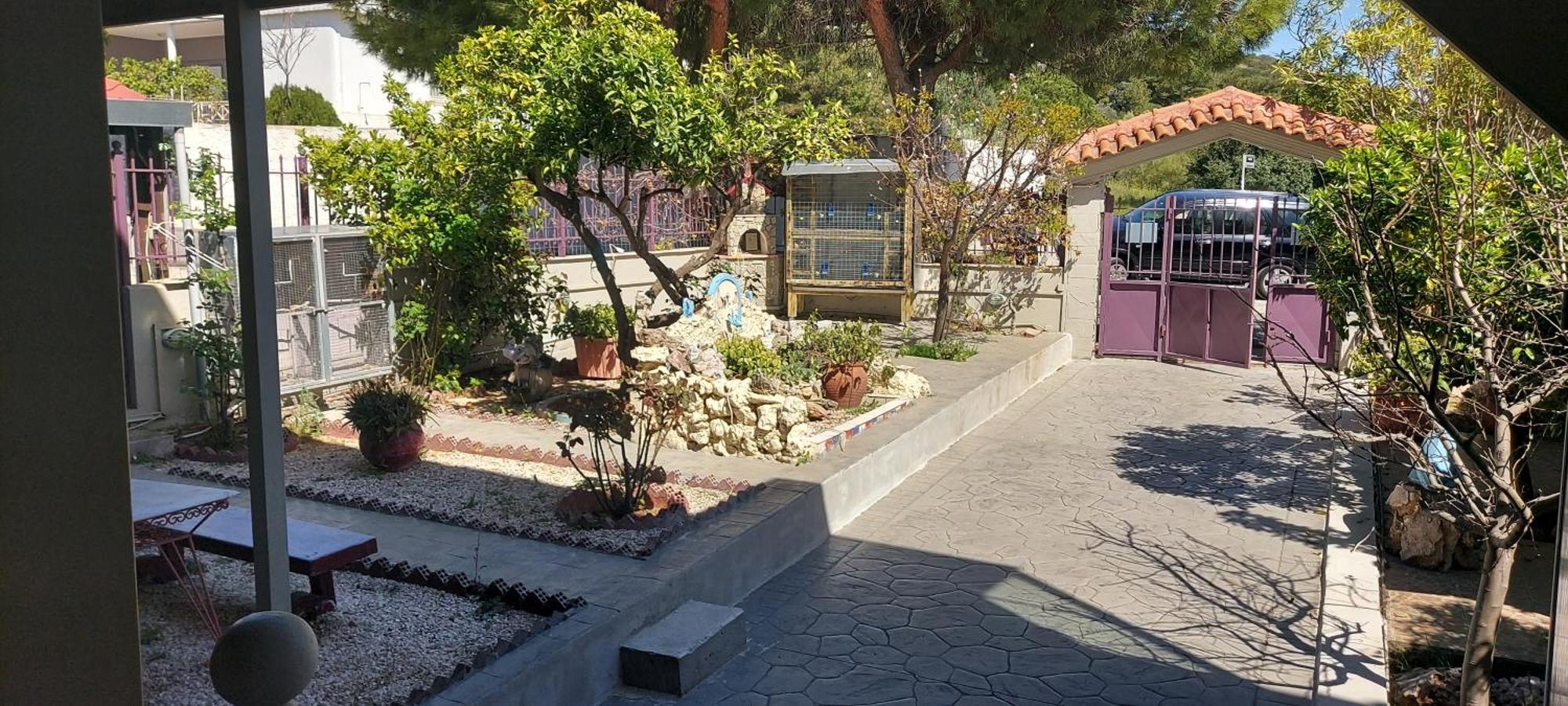 Villa Assos Airport 1 Artemida  Esterno foto